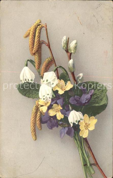 Blumen Märzenbecher Veilchen Haselnuss Weidenk