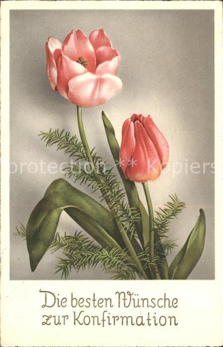 Blumen Tulpen Konfirmation Glückwunsch