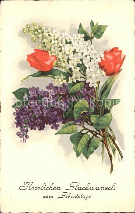 Blumen Tulpen Veilchen Geburtstag