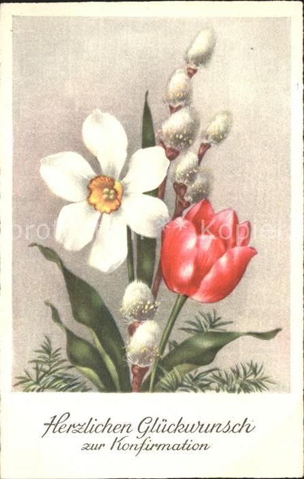 Konfirmation Tulpe Narzisse Weidenkaetzchen