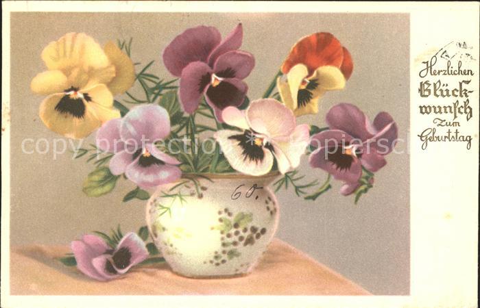 Blumen Stiefmütterchen Glückwunsch Geburtstag