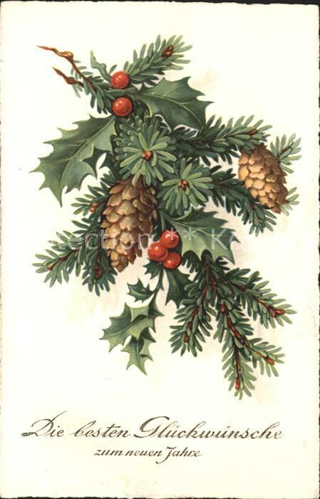 Tannenzapfen Stechpalme Neujahr