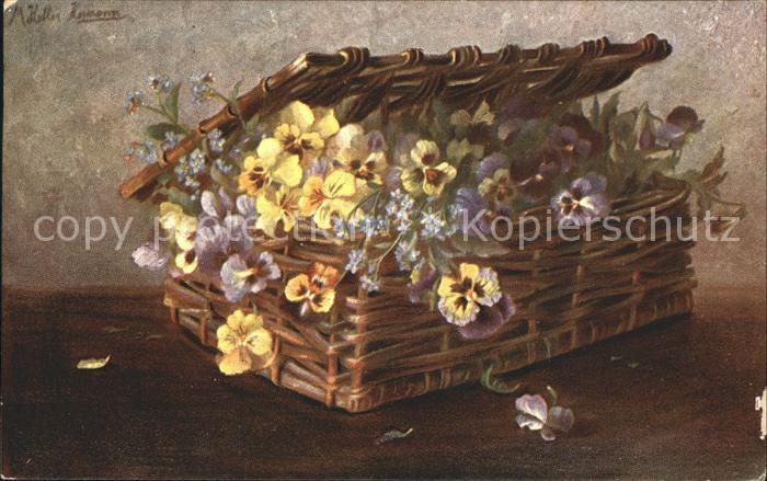 Blumen Stiefmütterchen Korb