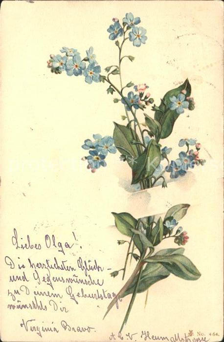 Blumen Vergissmeinnicht Litho