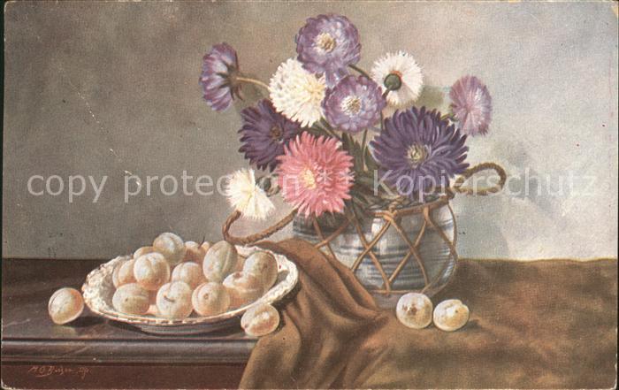 Blumen Astern Mirabellen