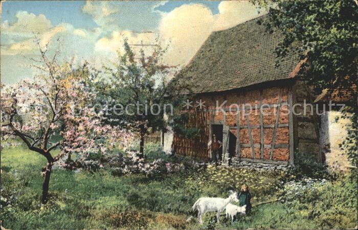 Ziege Maedchen Bauernhof