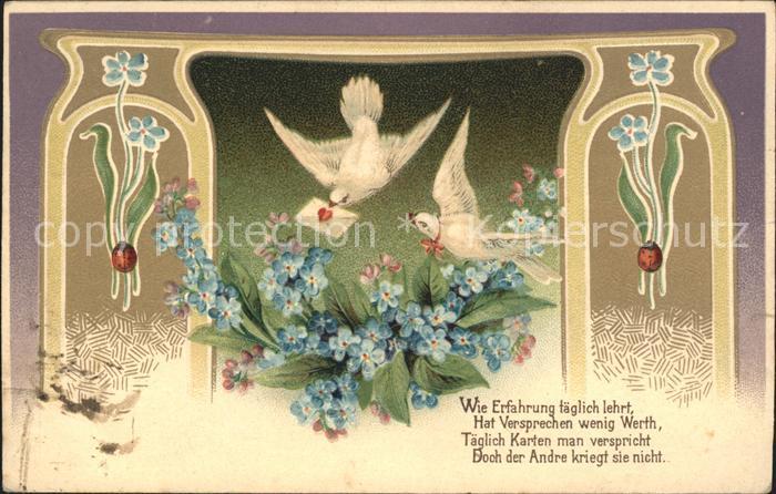 Brieftaube Carrier Pigeon voyageur Vergissmeinnicht Marienkäfer Litho