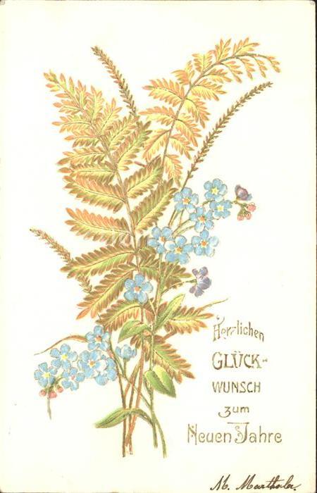 Neujahr Vergissmeinnicht