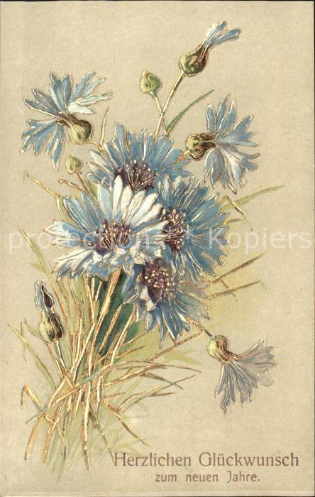Blumen Kornblumen Neujahr