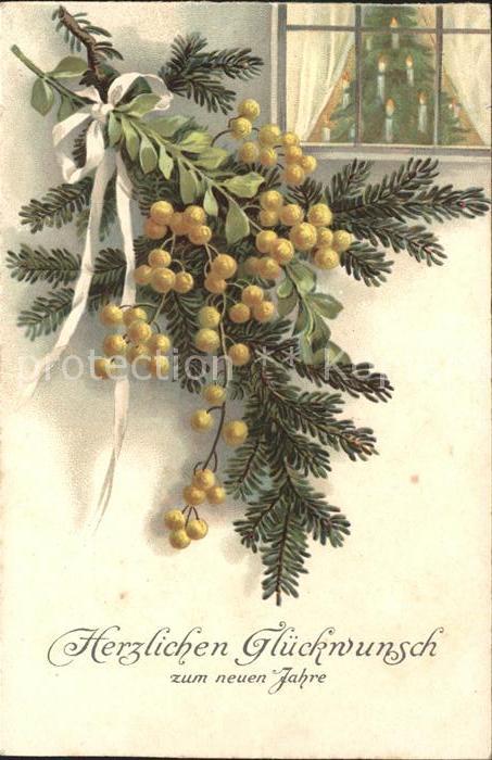 Neujahr Eichenriemenblume Beeren