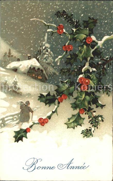 Neujahr Stechpalme Verlag-Amag-Nr. 2527