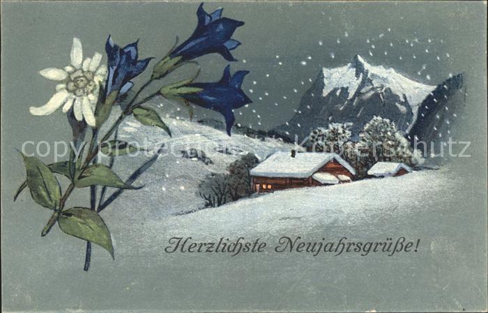Edelweiss Enzian Neujahr PAX