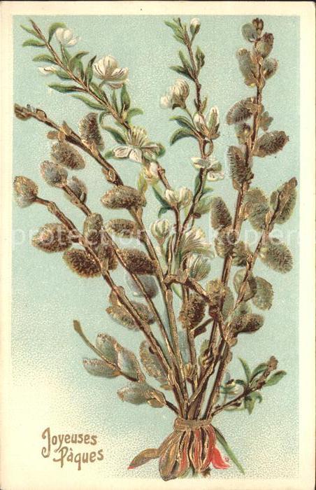 Ostern Easter Paques Weidenkätzchen Litho