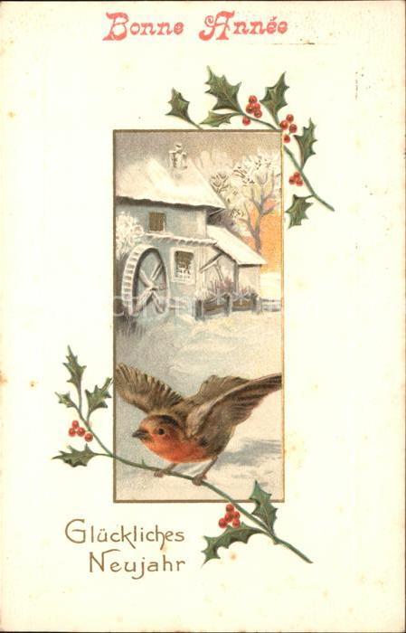 Wassermuehle Vogel Stechpalme Neujahr Litho