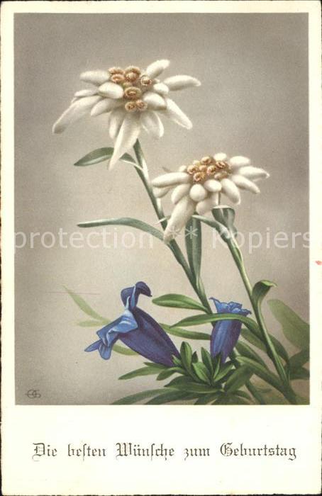 Edelweiss Enzian Glückwunsch Geburtstag