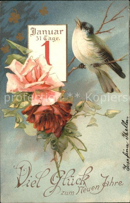 Datumskarte 1. Januar Vogel Rosen Neujahr Litho