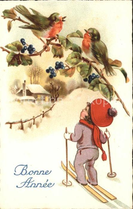 Skifahren Kind Vögel Neujahr