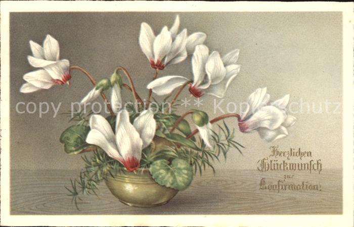 Konfirmation Alpenveilchen Verlag-Amag-Nr. 3582