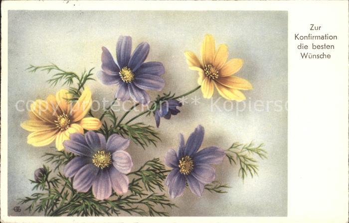 Konfirmation Anemonen