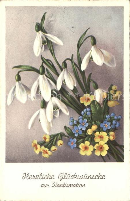 Konfirmation Schneegloeckchen Schluesselblumen Vergissmeinnicht