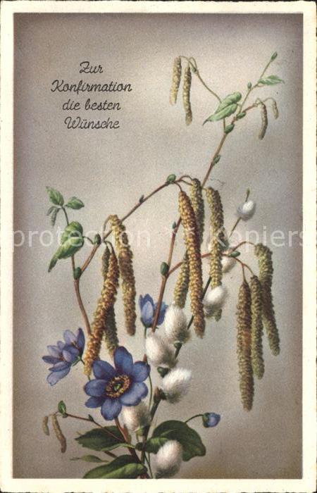 Konfirmation Anemonen Weidenkaetzchen Haselnussblueten