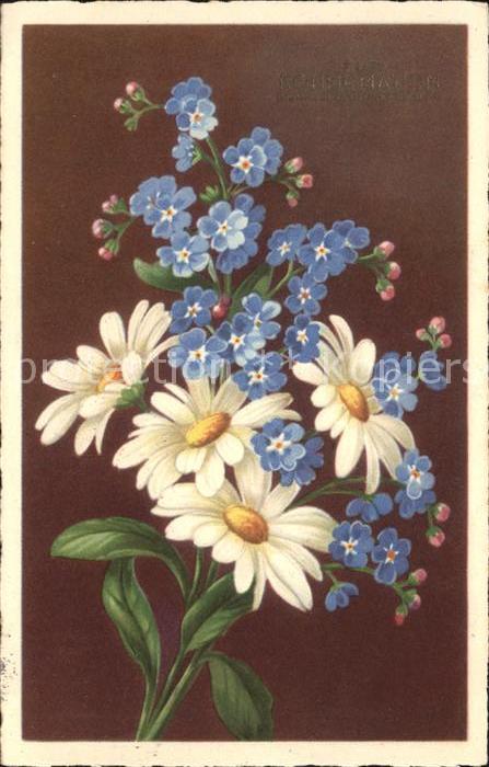 Blumen Margeriten Vergissmeinnicht