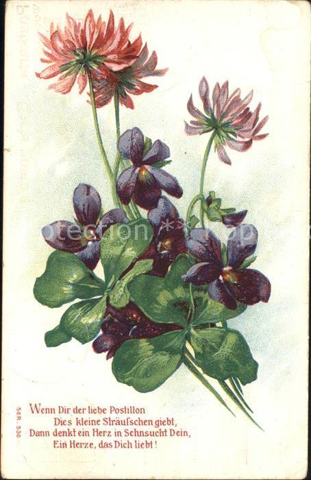 Blumen Veilchen Gedicht