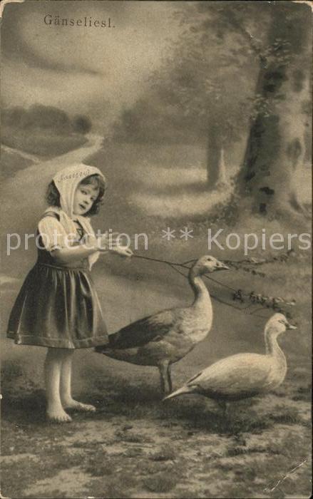 Kinder Child Enfants Mädchen Gänseliesl Gänse