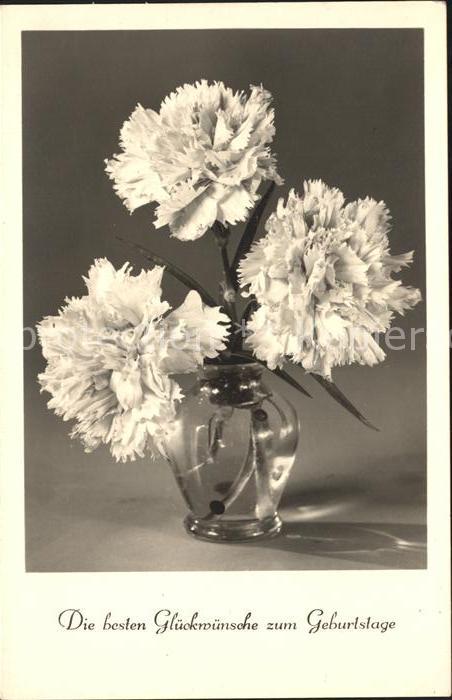 Geburtstag Nelken Foto-Amag-Nr. 68144/2