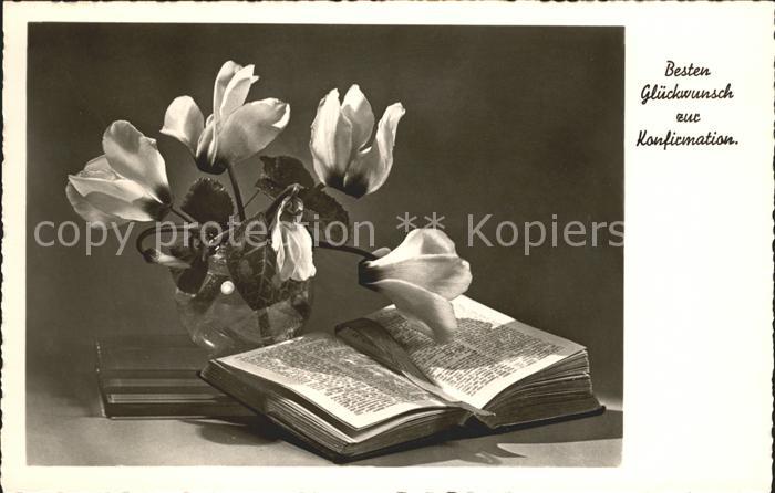 Konfirmation Alpenveilchen Bibel