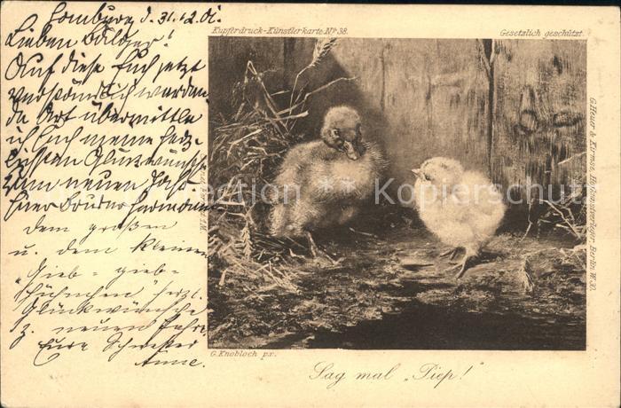 Kuenstlerkarte G. Knobloch Sag mal Piep Nr. 38 Küken E