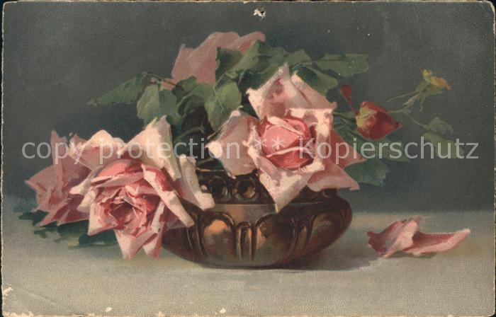 Rosen Verlag-Meissner-und-Buch