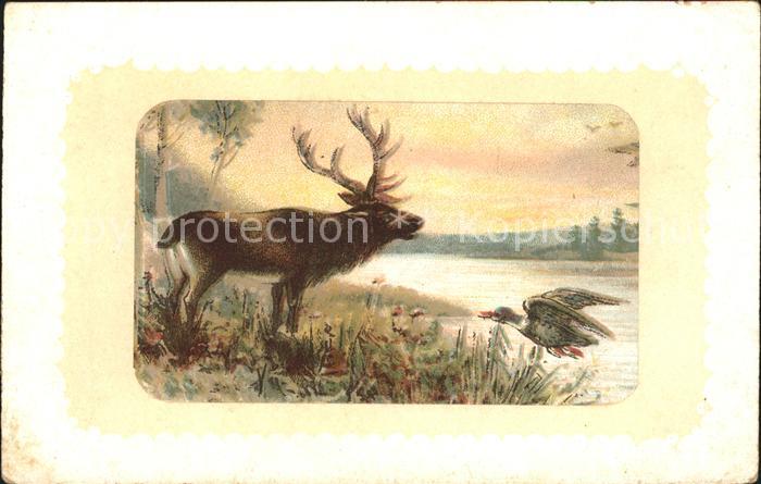 Hirsch Ente Litho