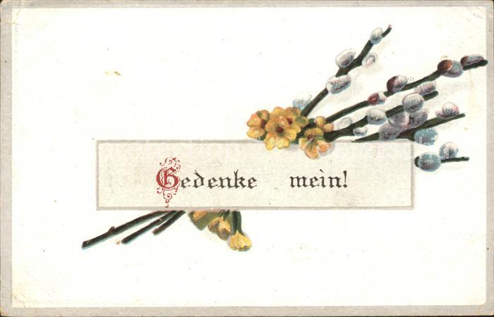 Blumen Schlüsselblumen Weidenkätzchen Gedenke