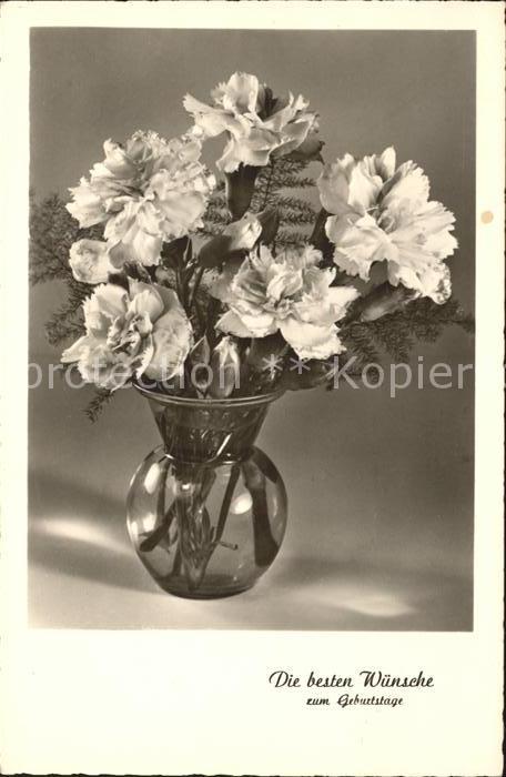 Geburtstag Nelken Foto-Amag