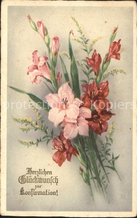 Konfirmation Gladiolen