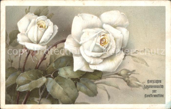 Rosen Konfirmation