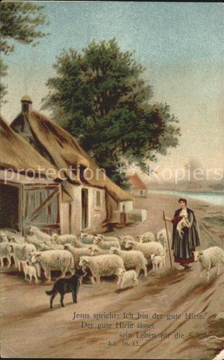Hirte Schafe Hund Psalm