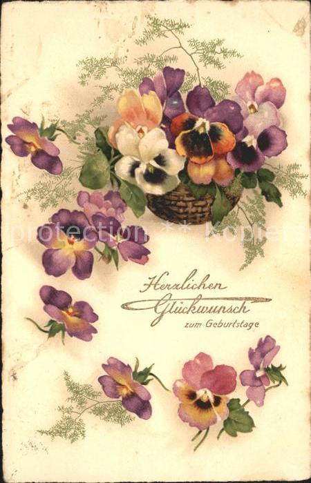 Geburtstag Stiefmütterchen