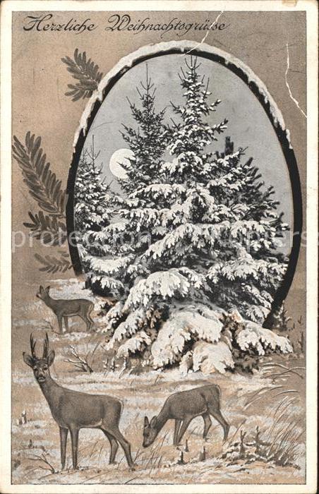 Hirsch Rehe Tannenbaum Weihnachten