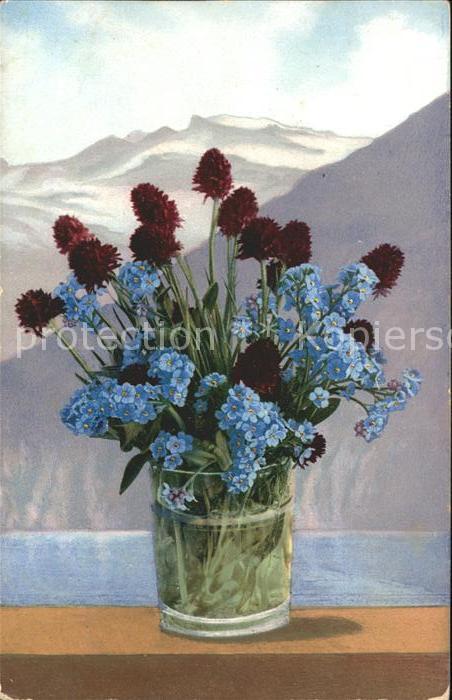 Verlag Photochromie Nr. 850 Serie 515 Vergissmeinnicht Schwarze