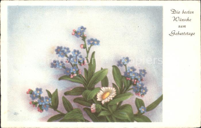 Geburtstag Vergissmeinnicht Gänseblümchen