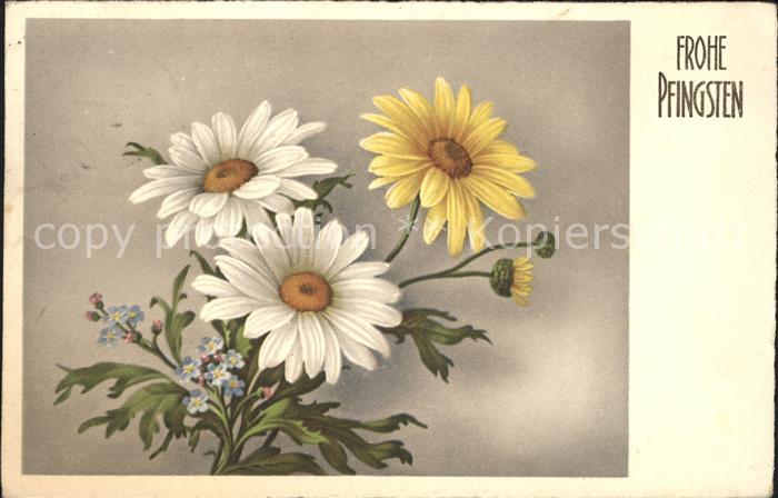 Pfingsten Pentecost Pentecote Margeriten Vergissmeinnicht