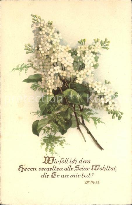 Blumen Flieder Psalm Wie soll ich dem Herrn ve