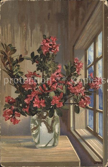 Verlag Photochromie Nr. 750 Serie 505 Alpenrosen