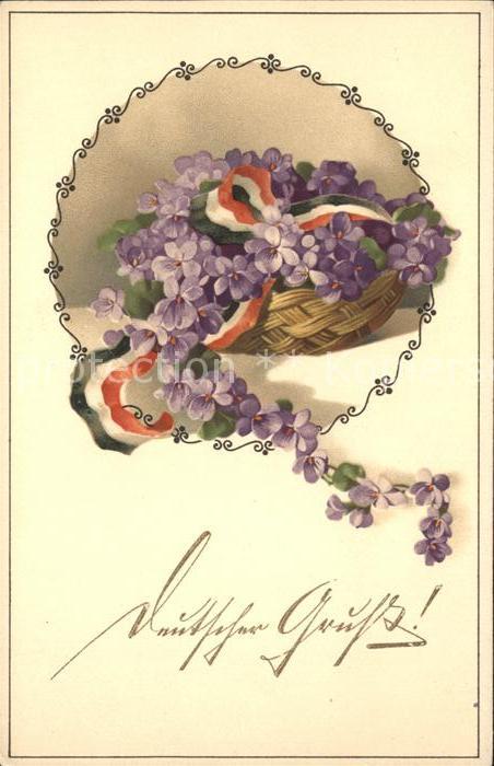 Schwarz Weiss Rot Veilchen Meissner-und-Buch-Verlag Krieg