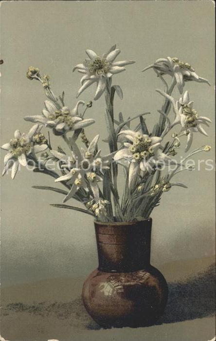 Edelweiss Verlag-Photochromie Nr. 483