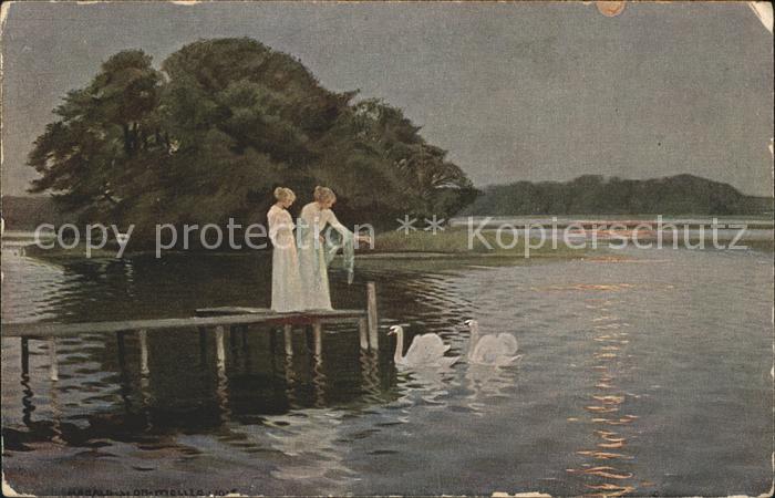 Kuenstlerkarte H. Slott Schwäne