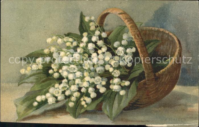 Haller Anna Maiglöckchen Nr. 1933 Korb
