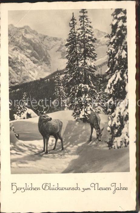 Hirsch Neujahr